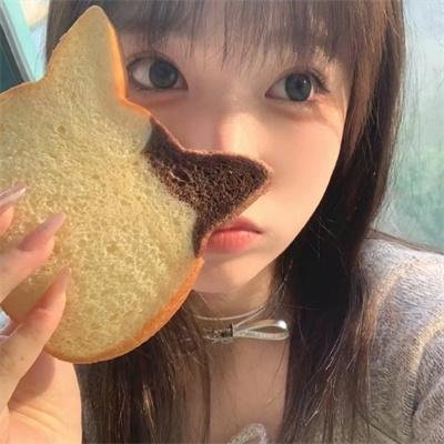 蛊惑狗寻宝